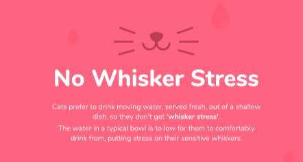 Whisker Stress Free Design