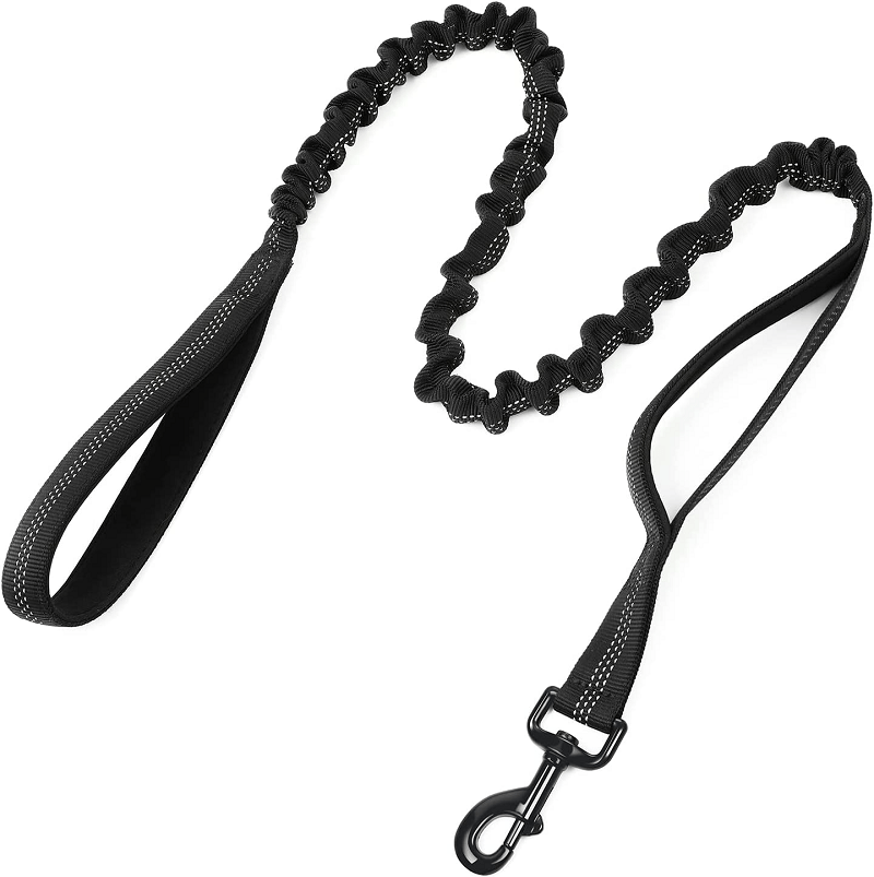 rabbitgoo dog leash