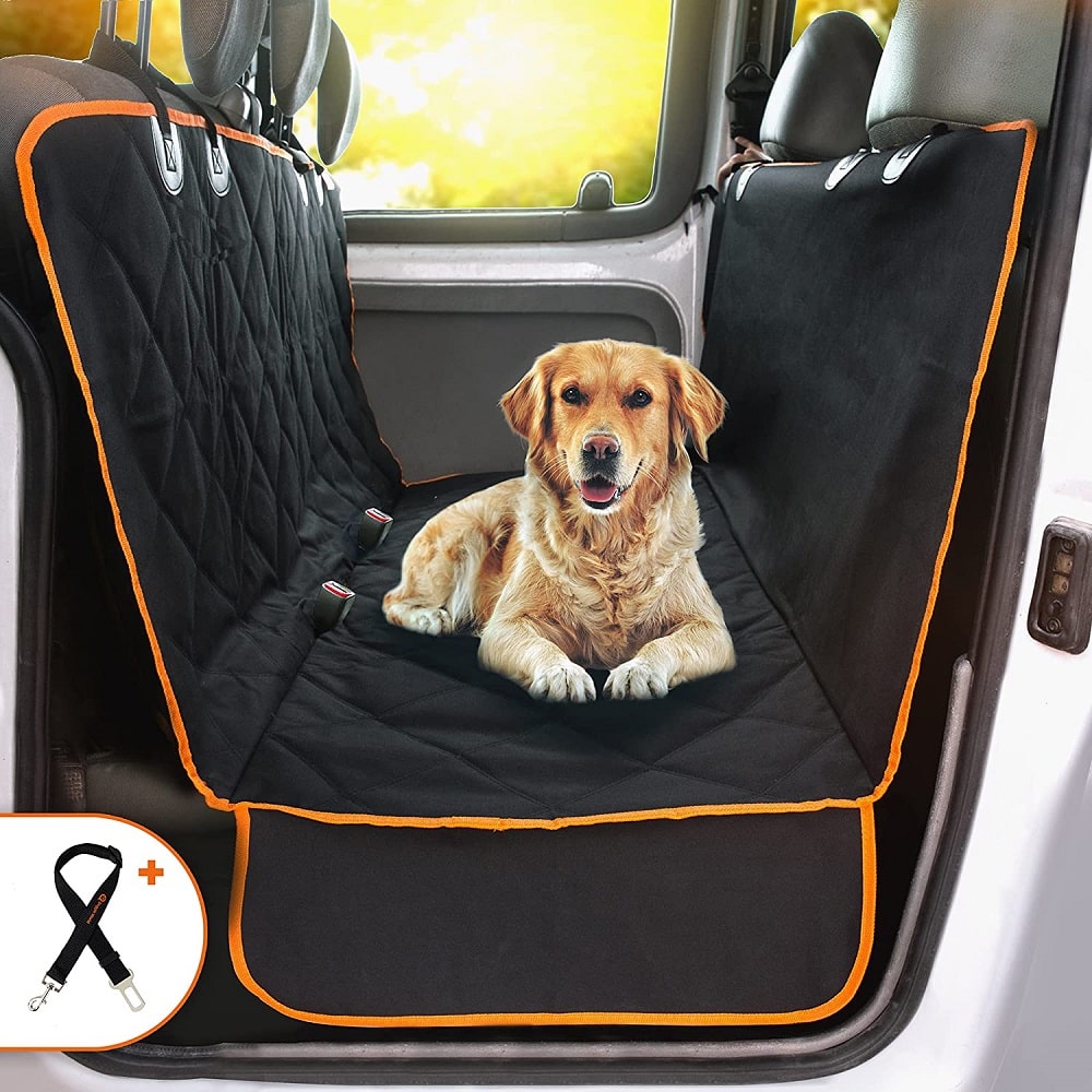 dog car seat