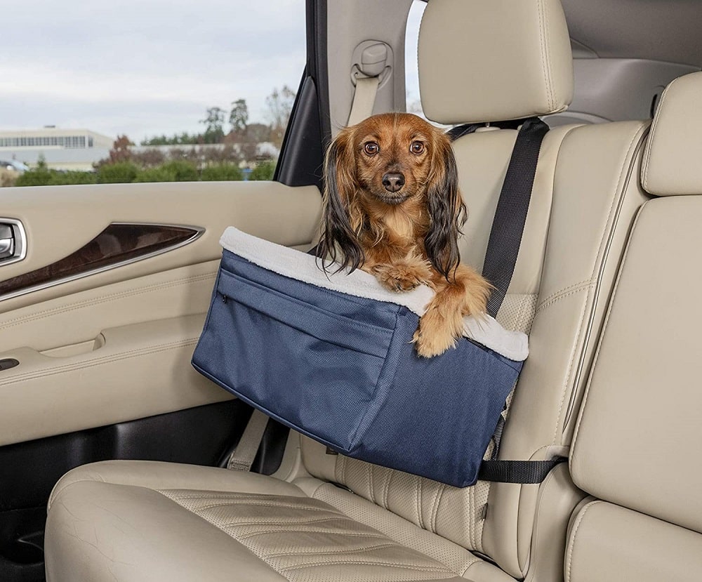 best dog car seat