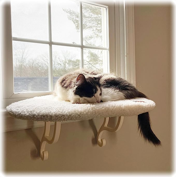 cat window perch