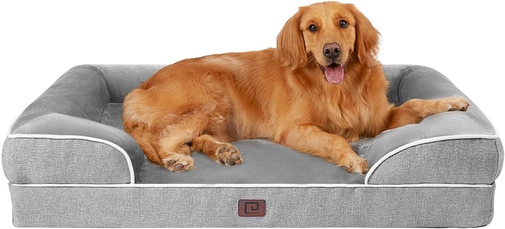 orthopedic bed for dogs