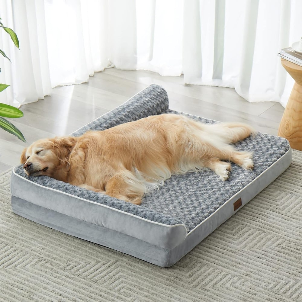 orthopedic bed for dogs