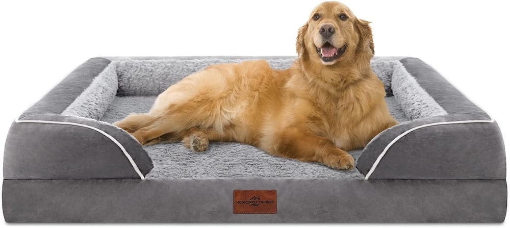 orthopedic bed for dogs