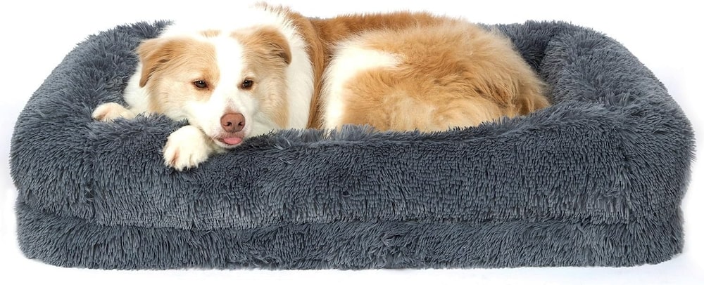 orthopedic dog bed