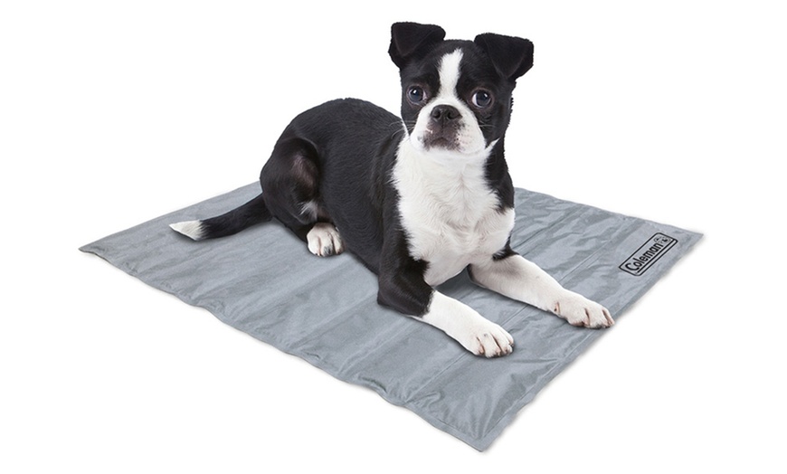 coleman cooling mat