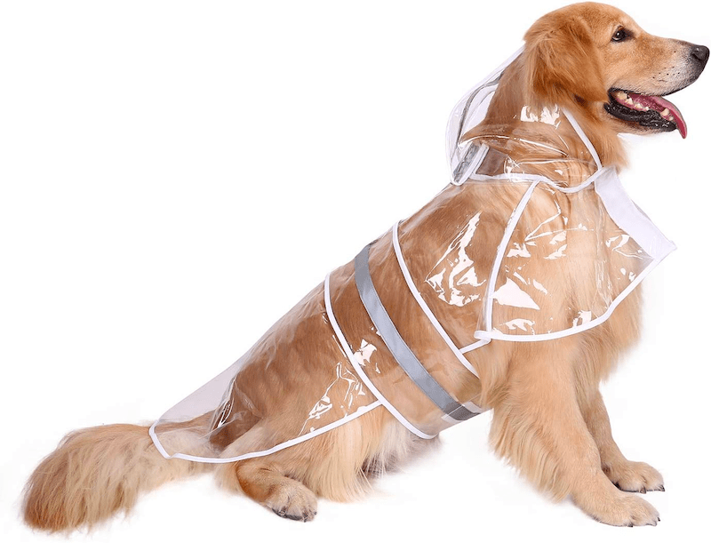 dog raincoat