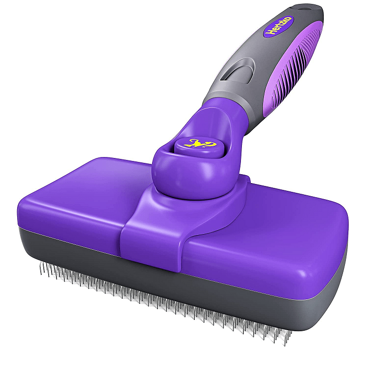 pet brush